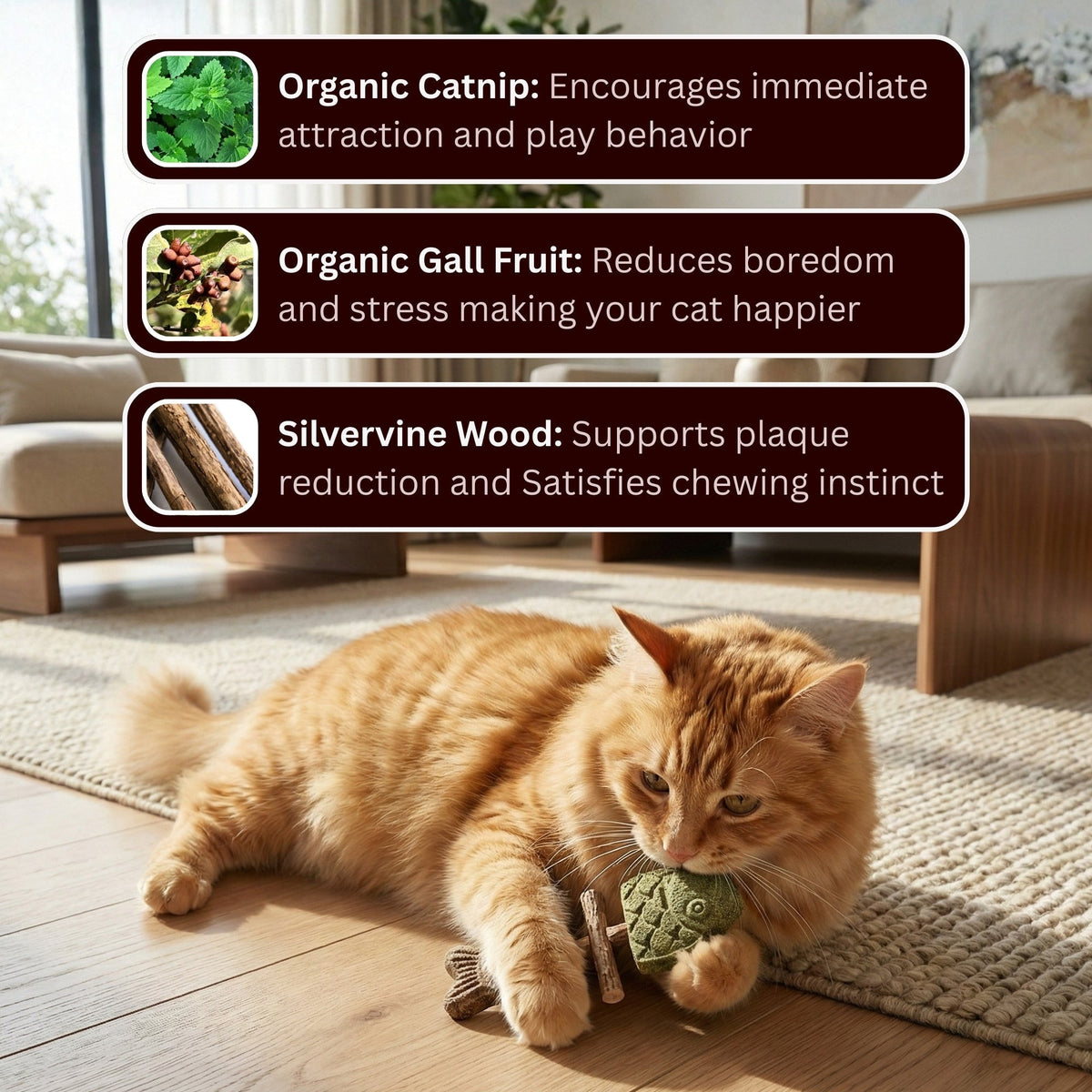 Pawzioo™ Catnip & Silvervine Chew