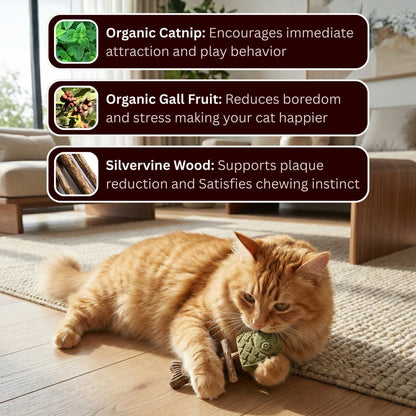 Pawzioo™ Catnip & Silvervine Chew