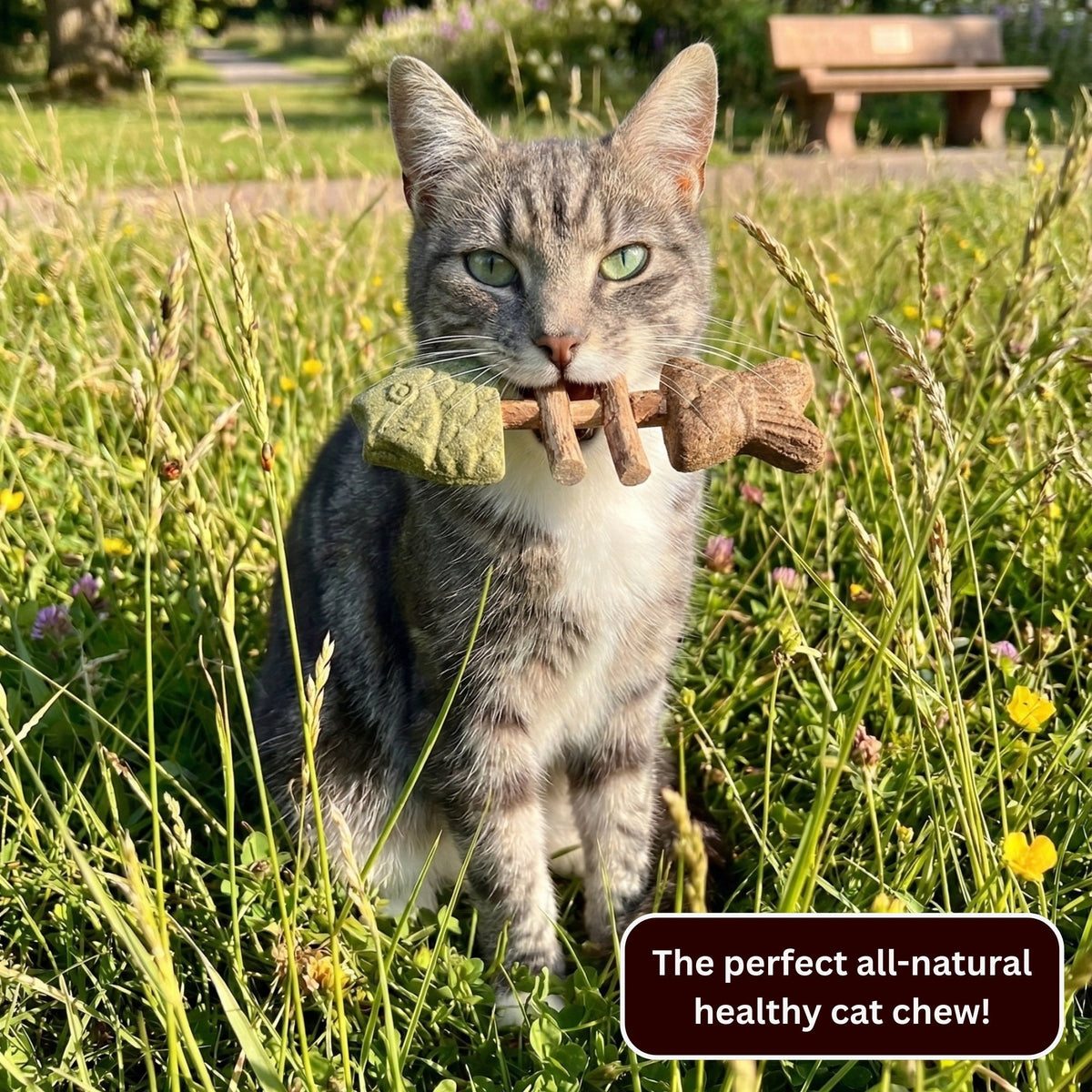 Pawzioo™ Catnip & Silvervine Chew