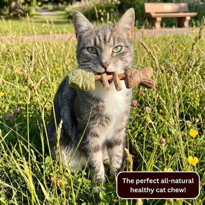 Pawzioo™ Catnip & Silvervine Chew
