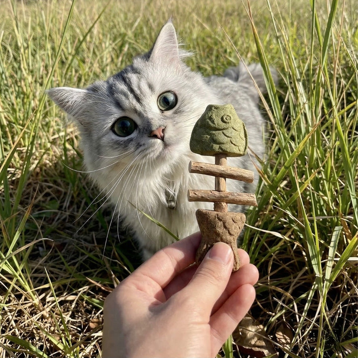 Pawzioo™ Catnip & Silvervine Chew